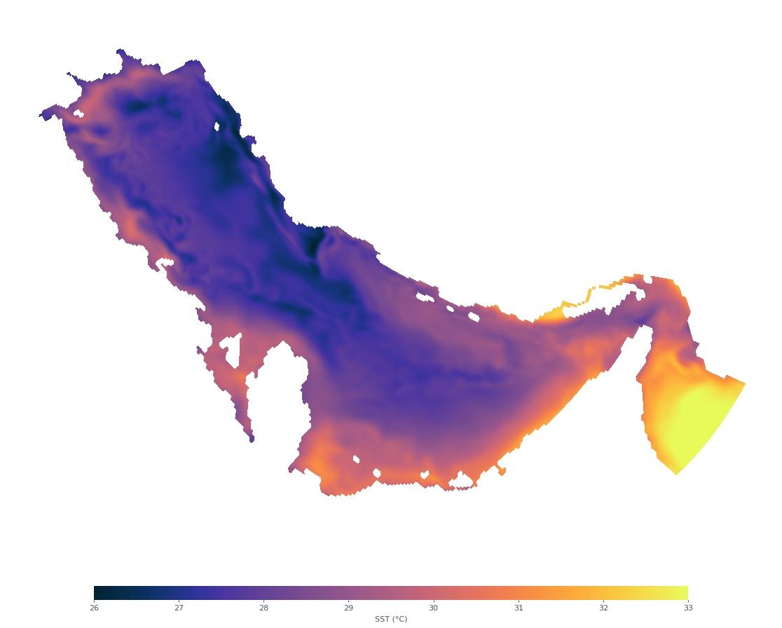Sea surface temperature snapshot from an example regional forecast domain